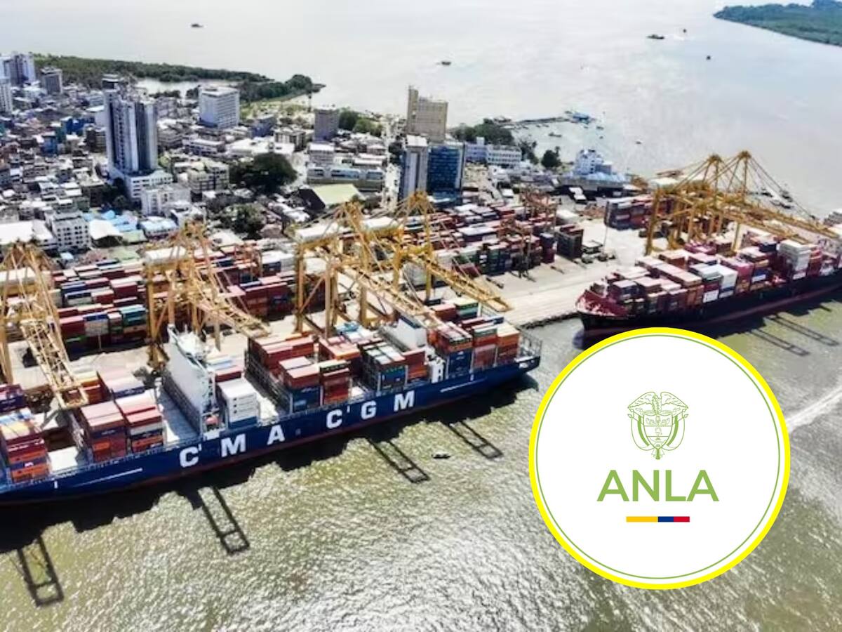 ANLA defiende su competencia como autoridad ambiental en el Muelle 13 de Buenaventura