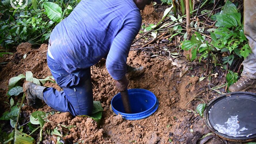 Imagen de referencia. Foto: Colprensa