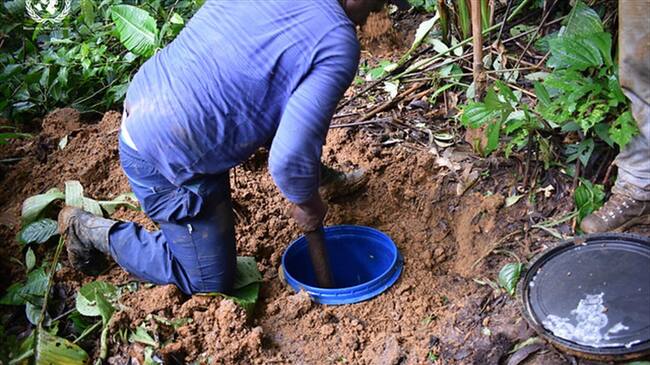 Imagen de referencia. Foto: Colprensa