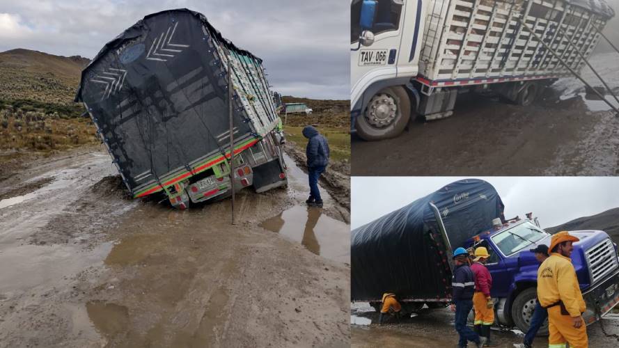 Carros / Suministrada.