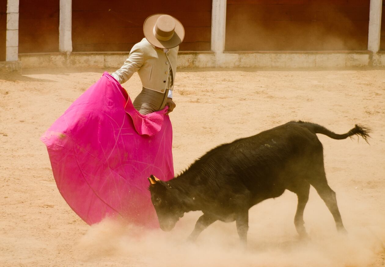 Corrida de toros, imagen de referencia | Foto: GettyImages