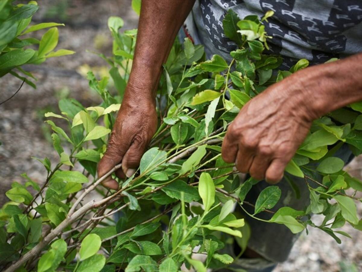 El fiscal o está mal asesorado o entendió mal el proyecto: Minjusticia