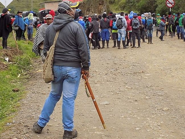Campesinos y cultivadores de coca logran primeros acuerdos en Cauca. Foto: Colprensa