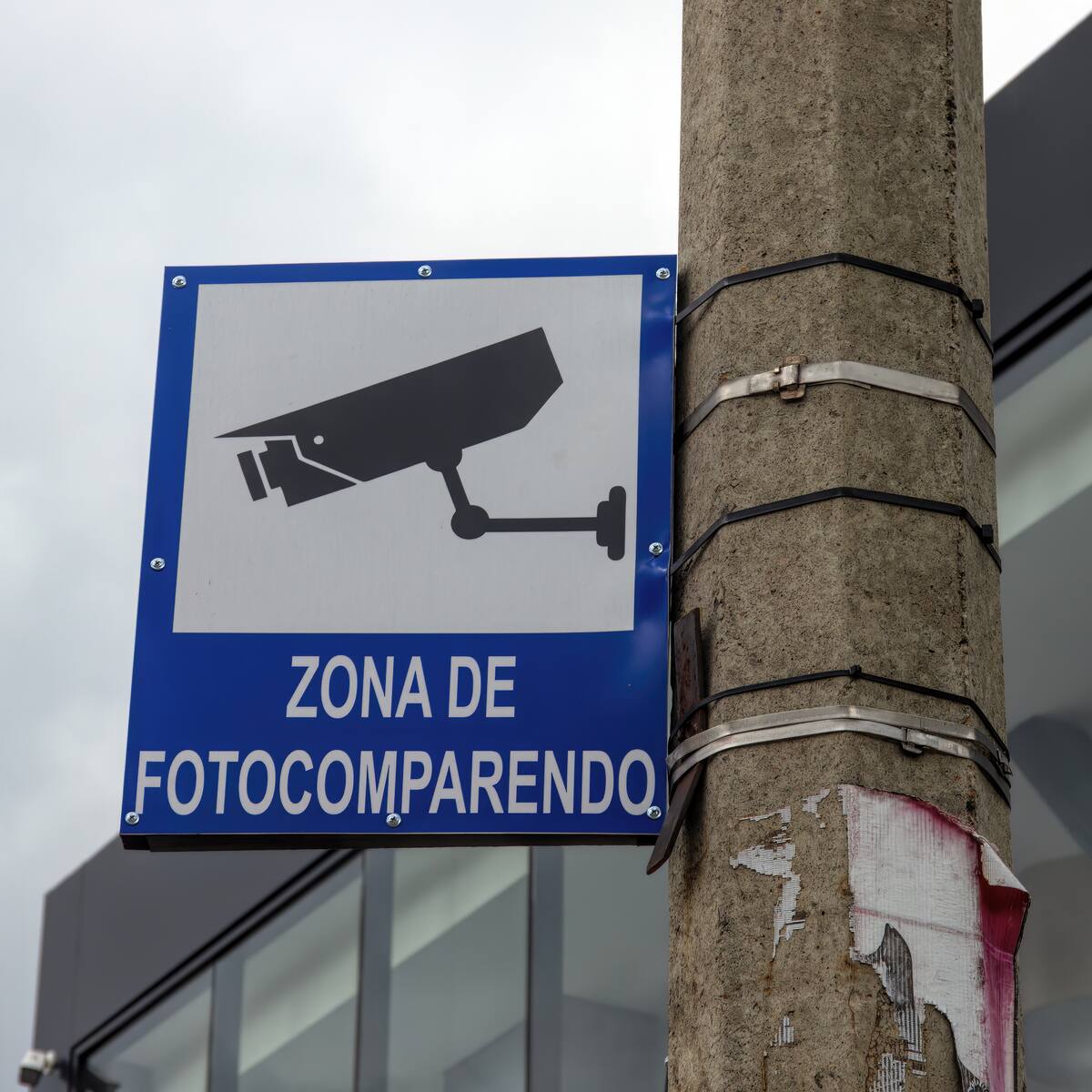Estas son las únicas infracciones que detectan las fotomultas: ¿cuánto cuestan?