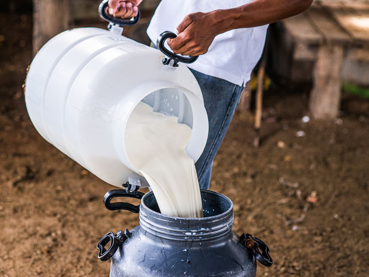 Asoleche por paro camionero: “empresas reportan entre 60% y 0% de recolección de leche”