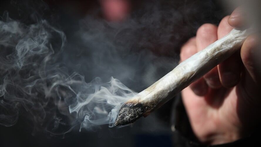 Una investigación de la Universidad de Harvard, afirmó que sería de acuerdo a sus efecto en el sistema endocannabinoide. . Foto: Getty Images