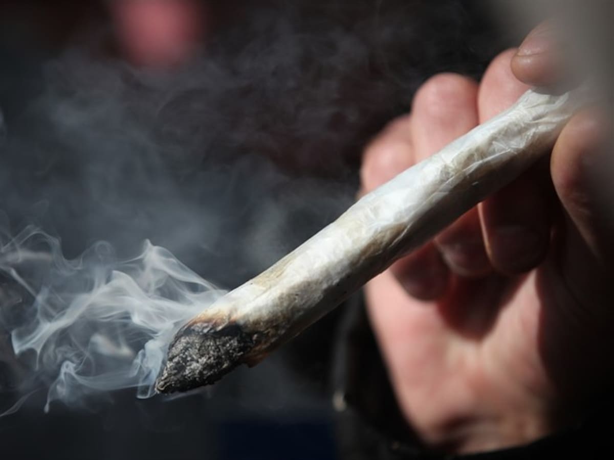 Según Harvard fumar marihuana aumentaría producción de espermatozoides