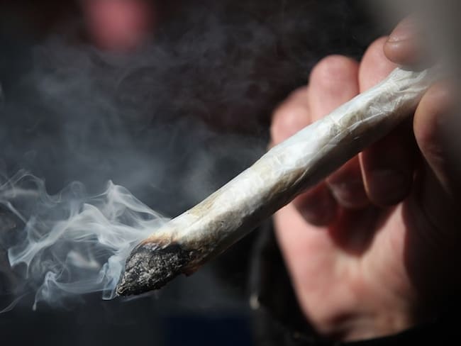 Una investigación de la Universidad de Harvard, afirmó que sería de acuerdo a sus efecto en el sistema endocannabinoide. . Foto: Getty Images