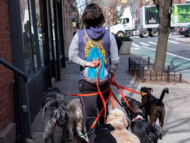 Wakypet, aplicación que conecta clientes con paseadores de perros