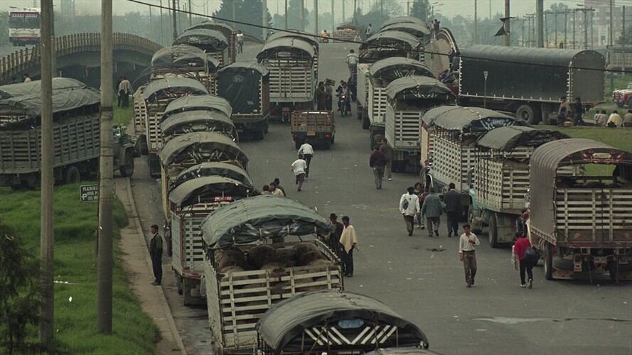 Imagen de referencia. Foto: Colprensa