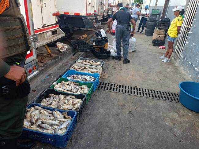 Decomiso de pescado/ Secretaría de Salud de Santa Marta.
