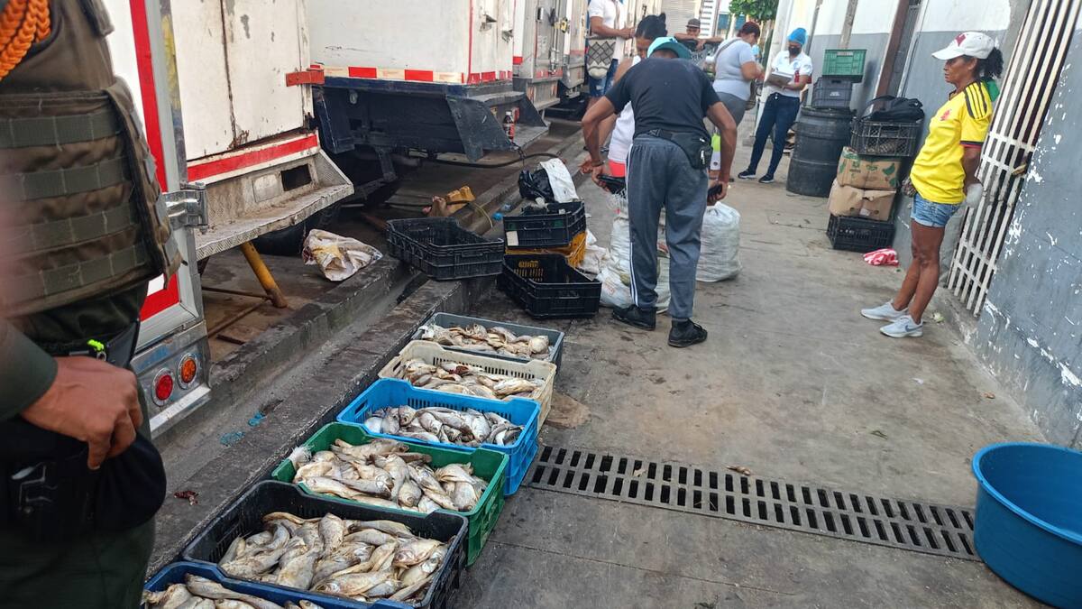 Autoridades en Santa Marta decomisaron 200 kilogramos de pescado en mal estado