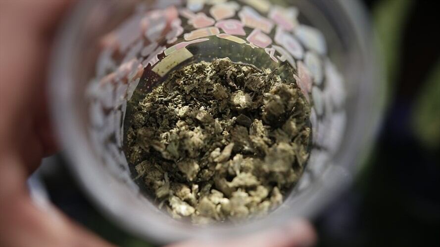 ¿Qué opinan los colombianos sobre la legalización de la marihuana?. Foto: Colprensa