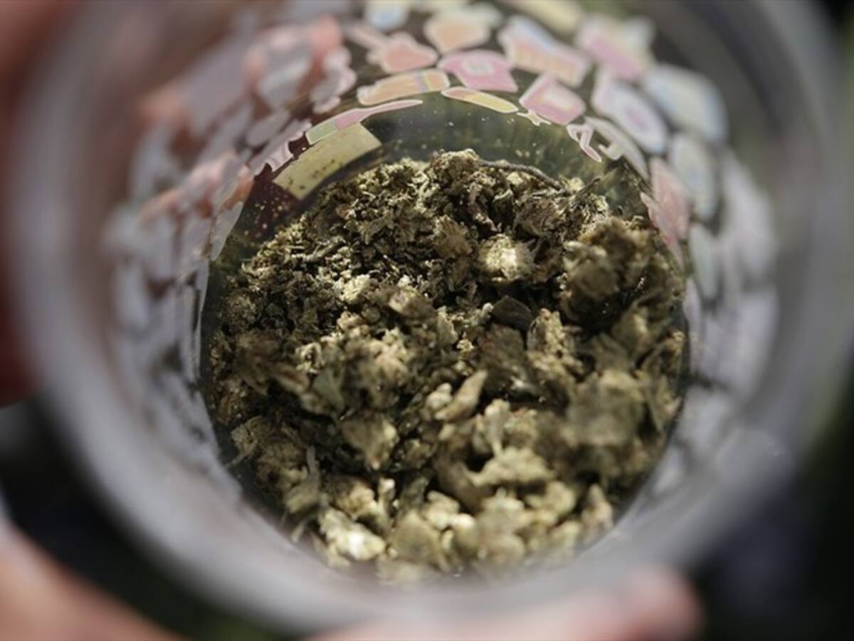 ¿Qué opinan los colombianos sobre la legalización de la marihuana?