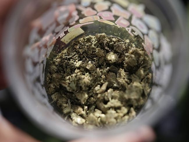 ¿Qué opinan los colombianos sobre la legalización de la marihuana?. Foto: Colprensa