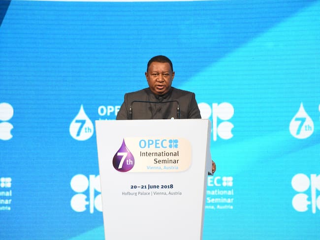 Mohammed Barkindo, secretario general de la OPEP. (Photo by Askin Kiyagan/Anadolu Agency/Getty Images)