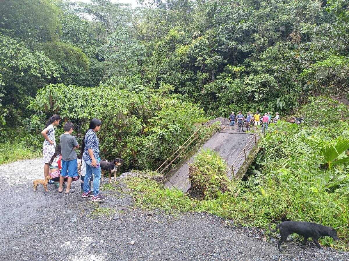 Colapso de puente entre La Victoria y Quípama impide transporte de alimentos