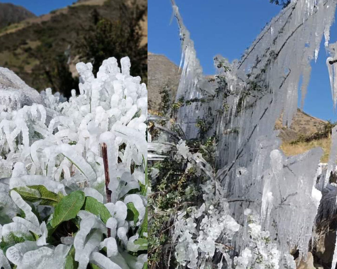Heladas/ suministrada Marco Capacho