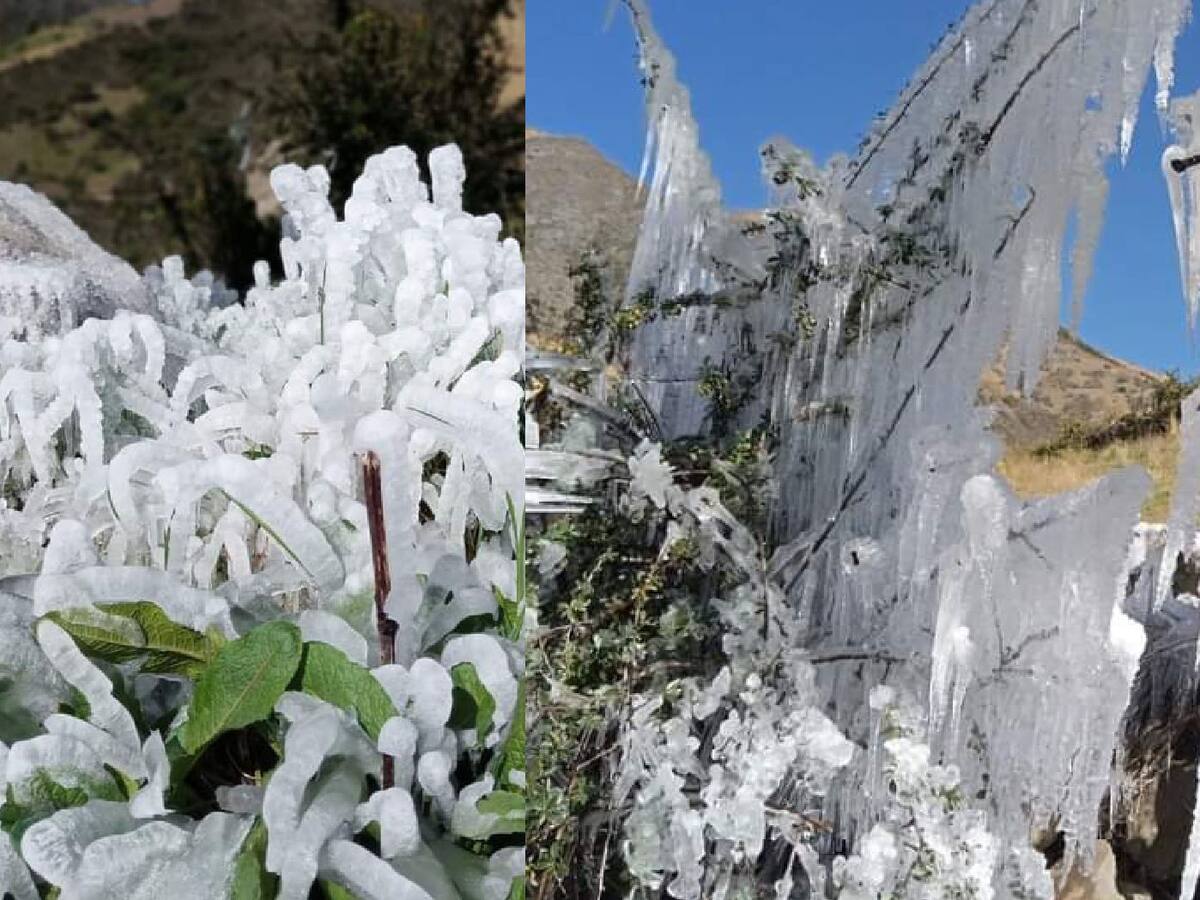 Impresionantes imágenes de heladas en el Páramo, en Berlín, Santander