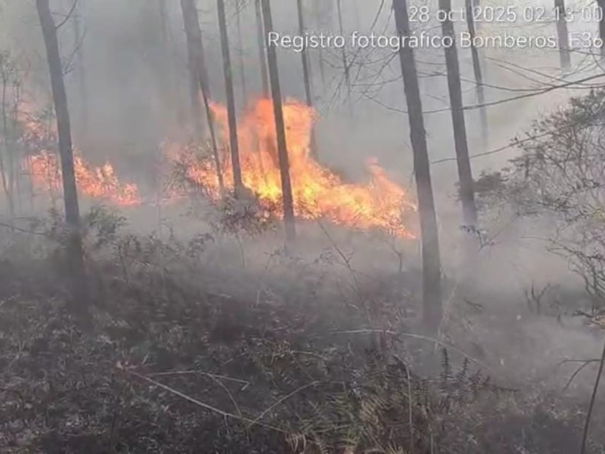 Preocupa aumento de incendios forestales en Boyacá: la mayoría serían provocados por acciones humana