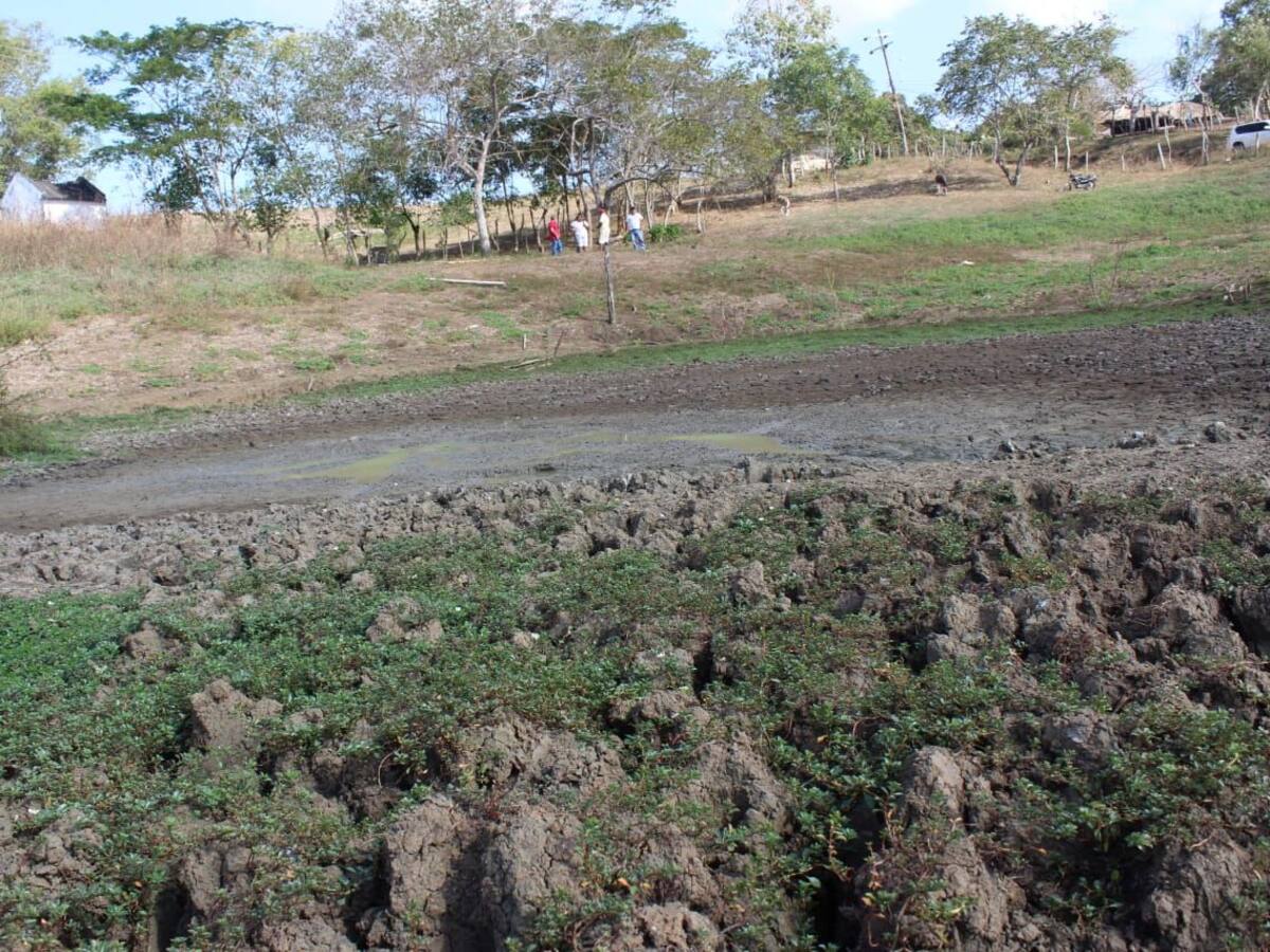 Emergencia por la intensa sequía en cuatro municipios de Córdoba