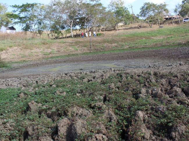 Emergencia en cuatro municipios de Córdoba por la intensa sequía. Foto: prensa Alcaldía Lorica - referencia.
