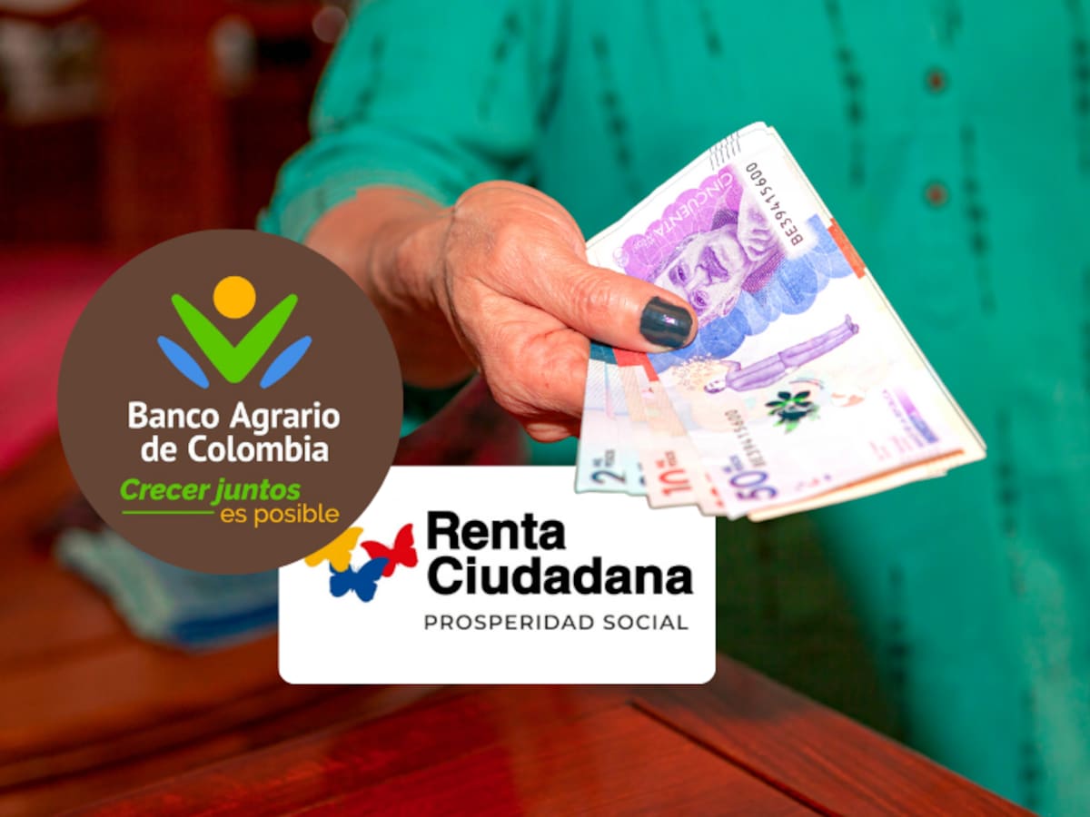 Cómo saber si es beneficiario de Renta Ciudadana 2025: Consulte si tiene giro en Banco Agrario así