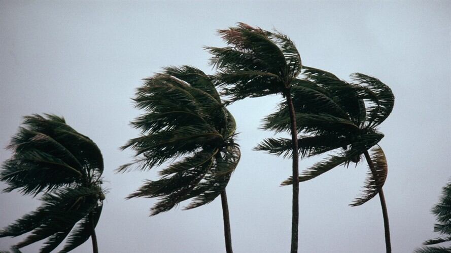 Imagen de referencia de fuertes vientos generados por un huracán. Foto: Getty Images / Carl & Ann Purcell