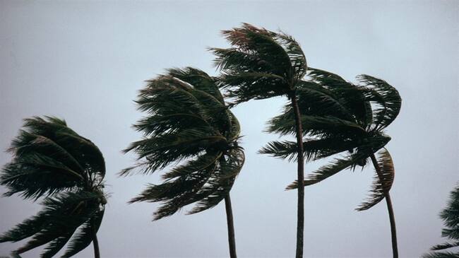 Imagen de referencia de fuertes vientos generados por un huracán. Foto: Getty Images / Carl & Ann Purcell