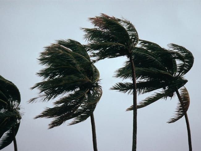 Imagen de referencia de fuertes vientos generados por un huracán. Foto: Getty Images / Carl & Ann Purcell