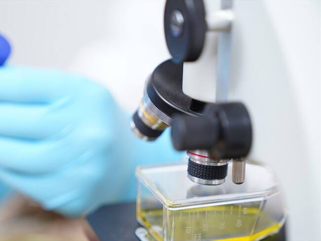 Empiezan nuevas pruebas para un medicamento que podría tratar el Covid-19