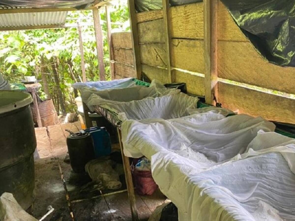 Desmantelados laboratorios del ELN en la zona del Catatumbo