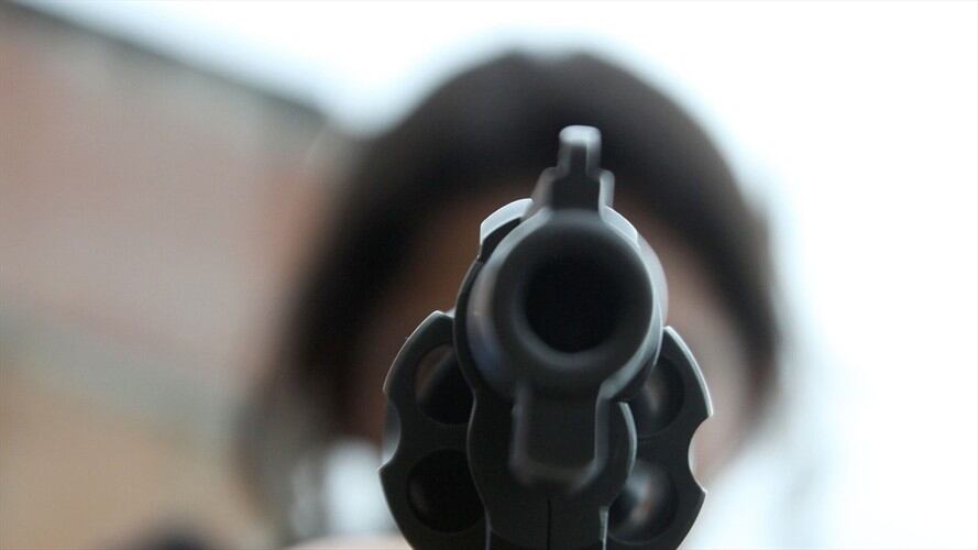 El hombre fue abordado en su casa, fue golpeado y baleado para que entregara el costoso cachorro. Foto: Colprensa