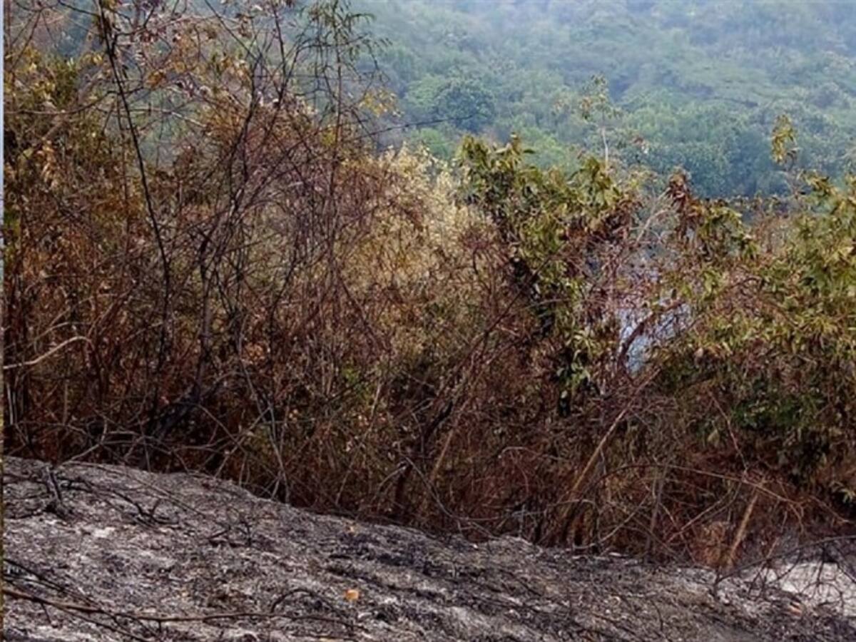 Reportan nuevos incendios en la Sierra Nevada de Santa Marta