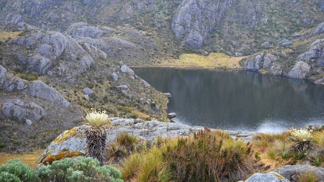 páramo de Santurbán. Foto:Alcaldía de Bucaramanga