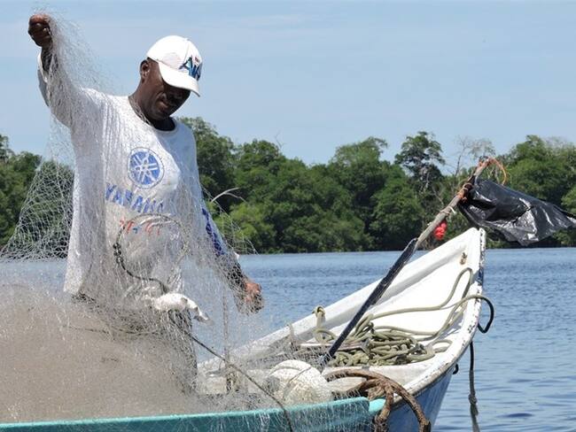 Pescadores de Luruaco reclaman ayudas a la Gobernación del Atlántico/ Imagen de referencia. Foto: Colprensa