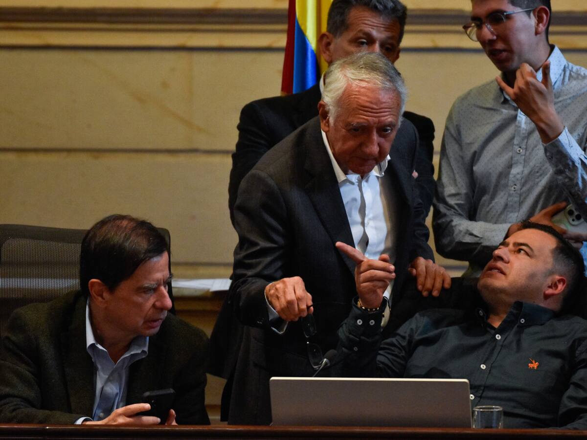 Reforma a la salud: con 24 artículos aprobados, se levantó debate y continuará en 2025