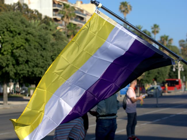 Non-binary gender flag during the gay pride parade in Valencia ( Spain )