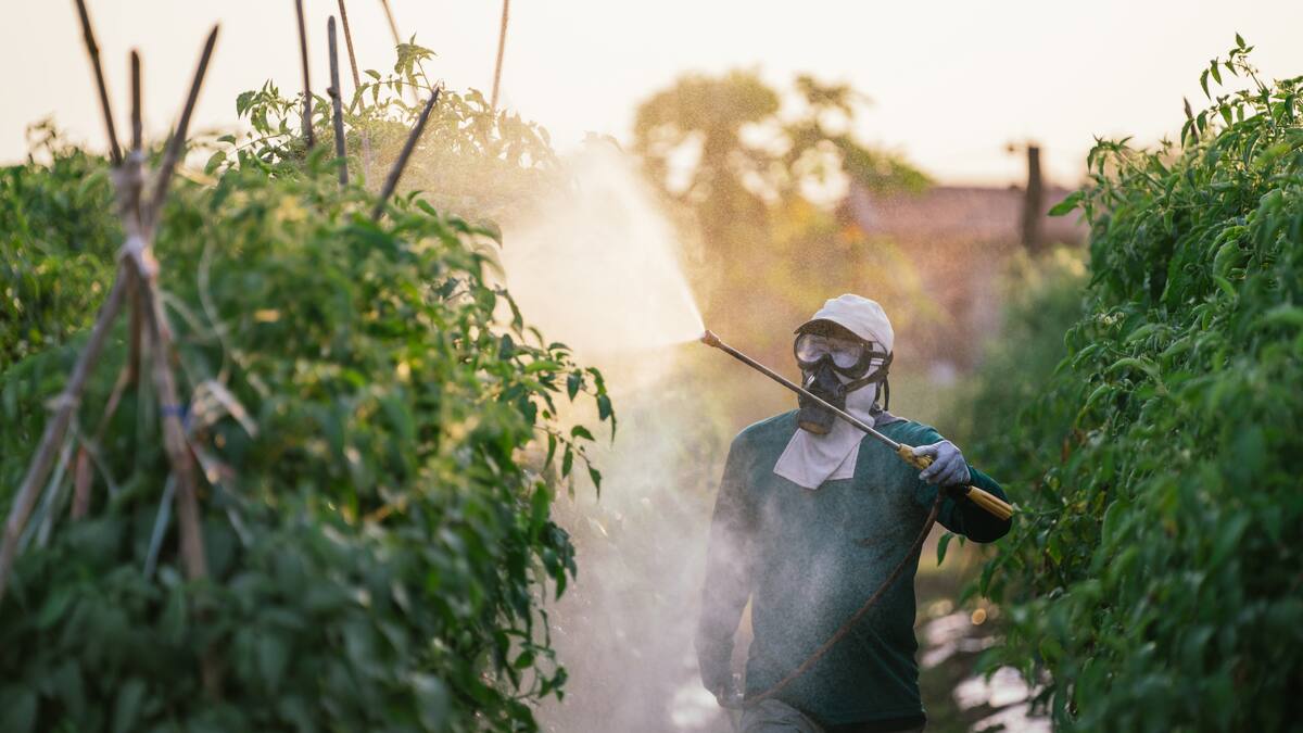Corte ordena al ICA suspender insecticida que causa daños neurológicos en niños