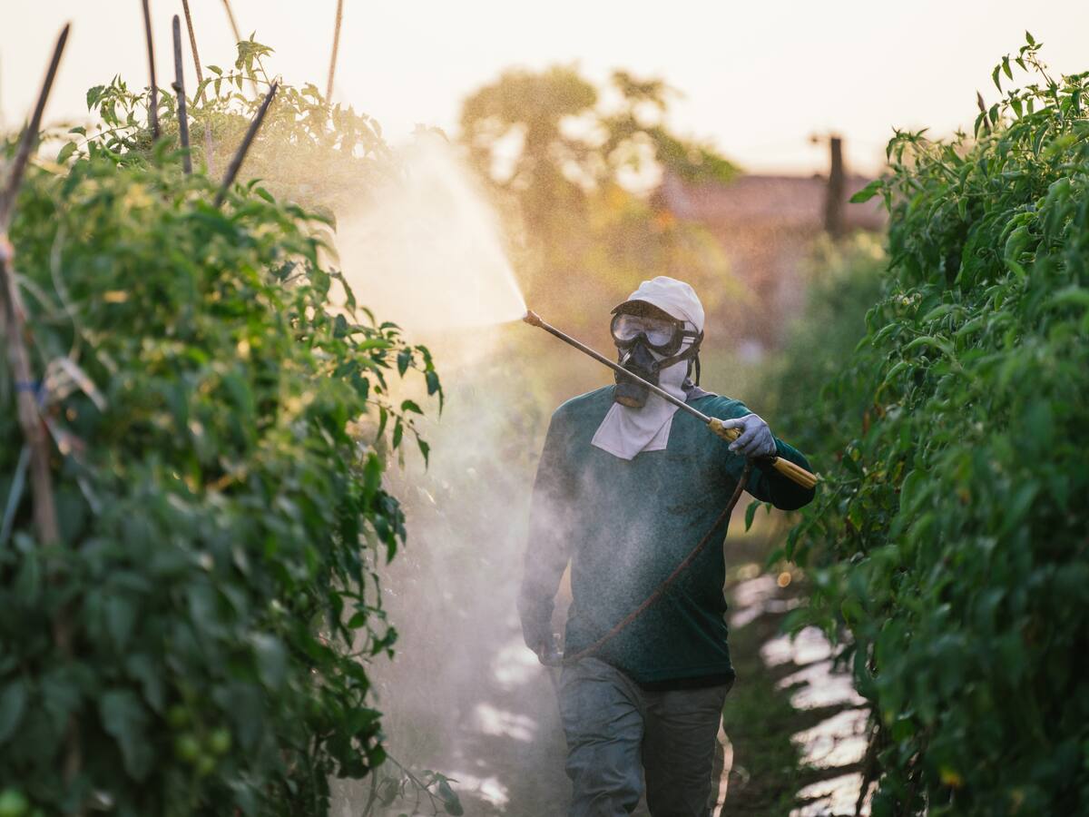 Corte ordenó al ICA suspender insecticida que causa daños neurológicos en niños