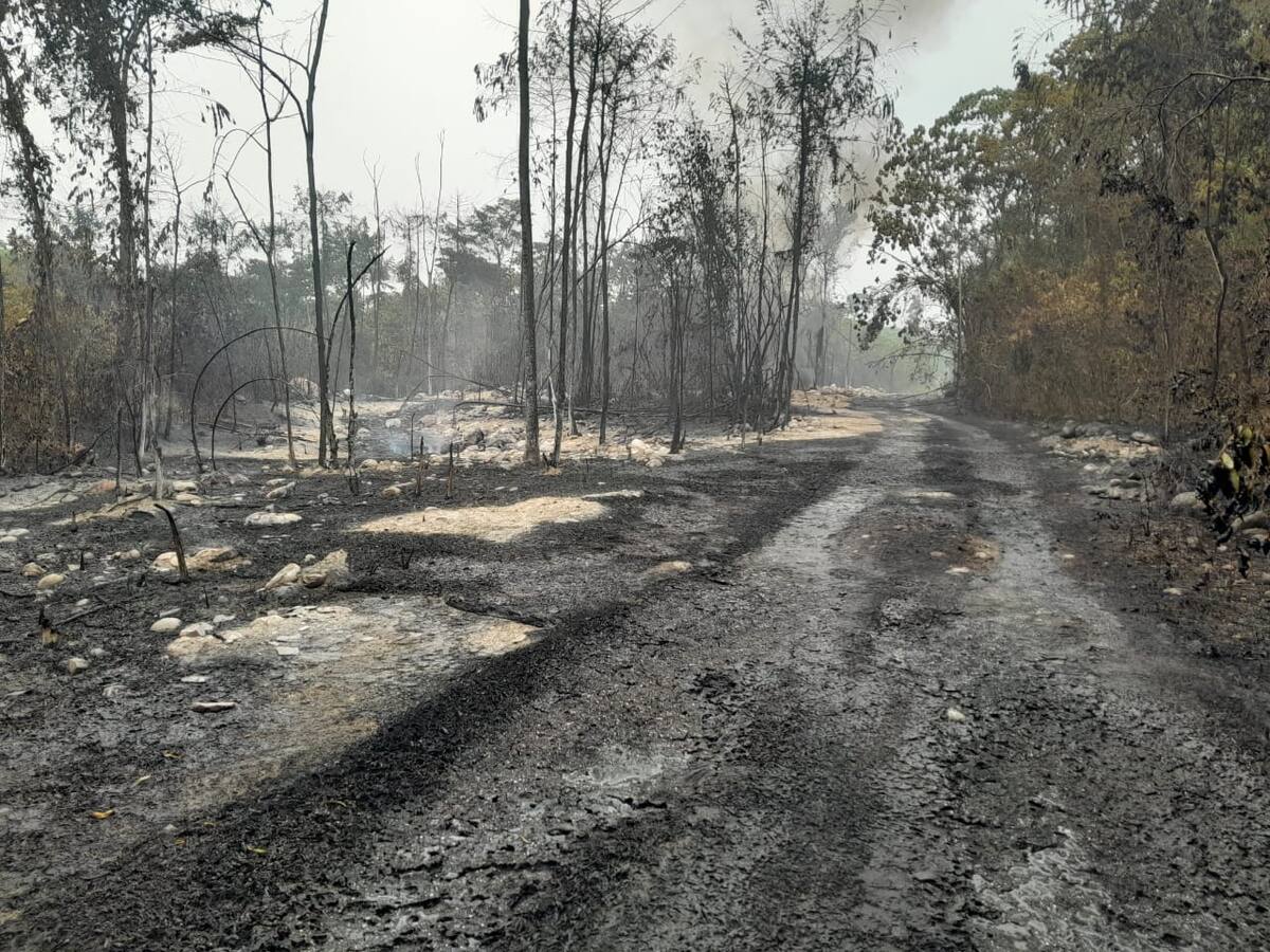Cenit, filial de Ecopetrol, rechazó atentados contra el Oleoducto Caño Limón – Coveñas