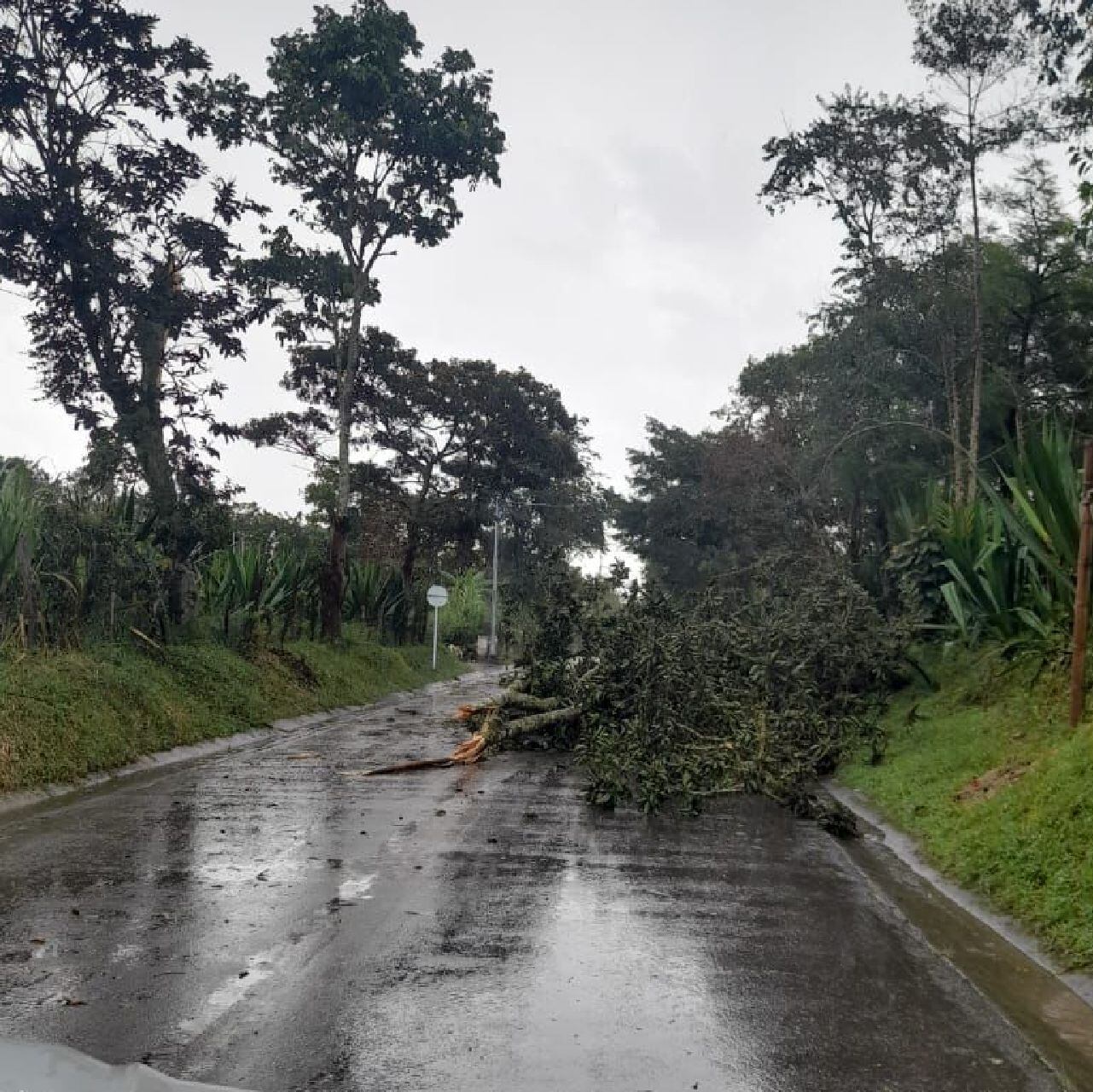 Vendaval Mogotes/ Suministrada Jeisson Pinto 