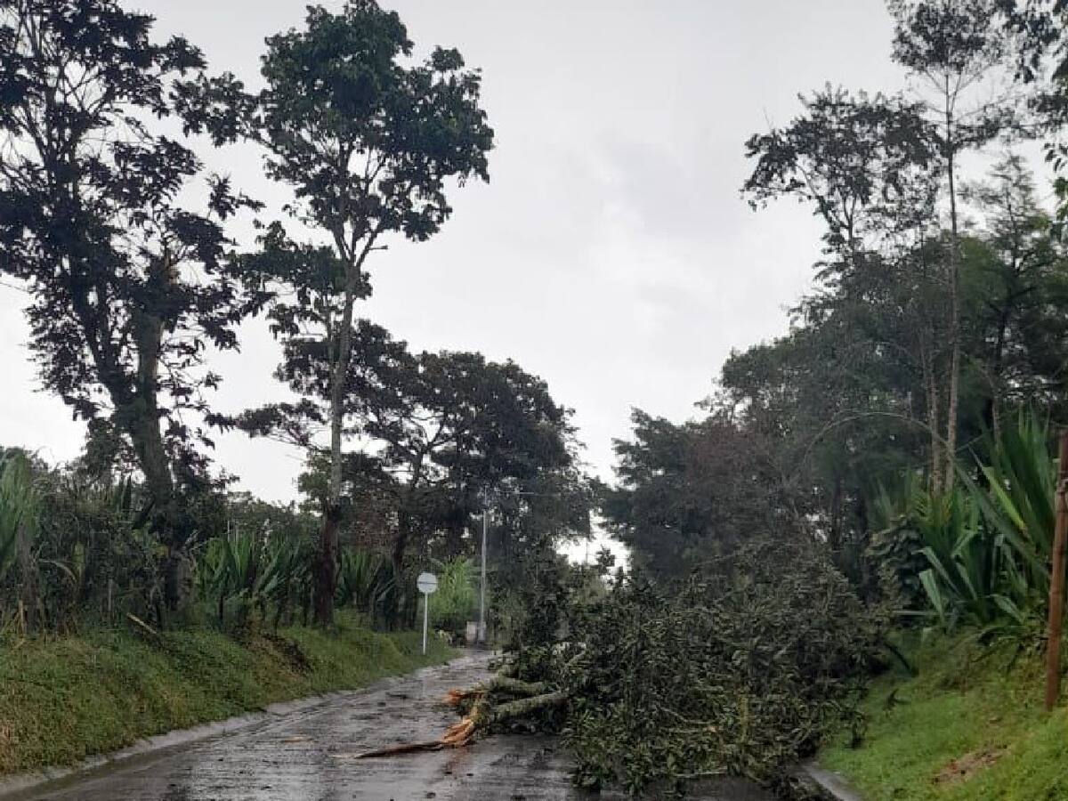 Más de 150 afectados por granizo y vendavales en Mogotes, Santander