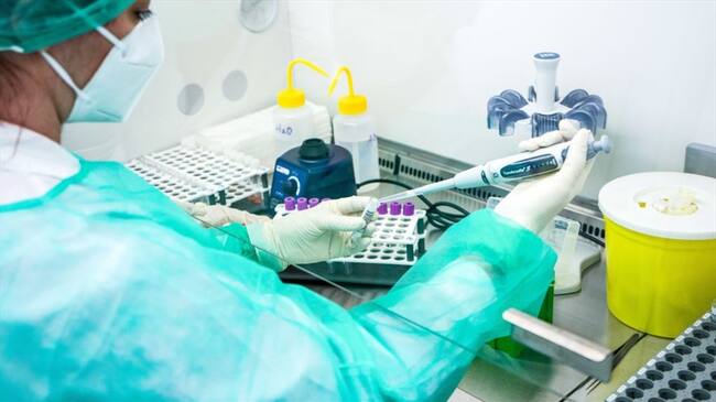 Según el ministerio de defensa de ese país, este podría convertirse en el primer antídoto para el virus.. Foto: Getty Images