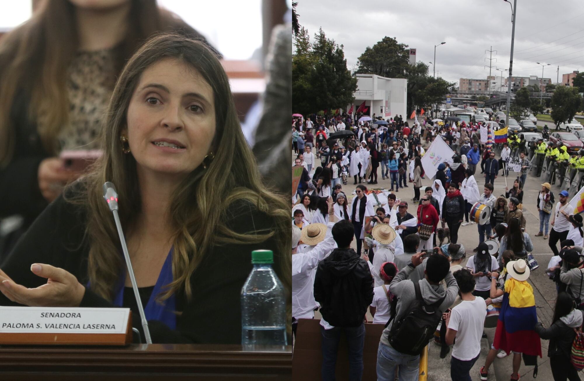 Paloma Valencia, senadora y manifestaciones | Fotos: Colprensa