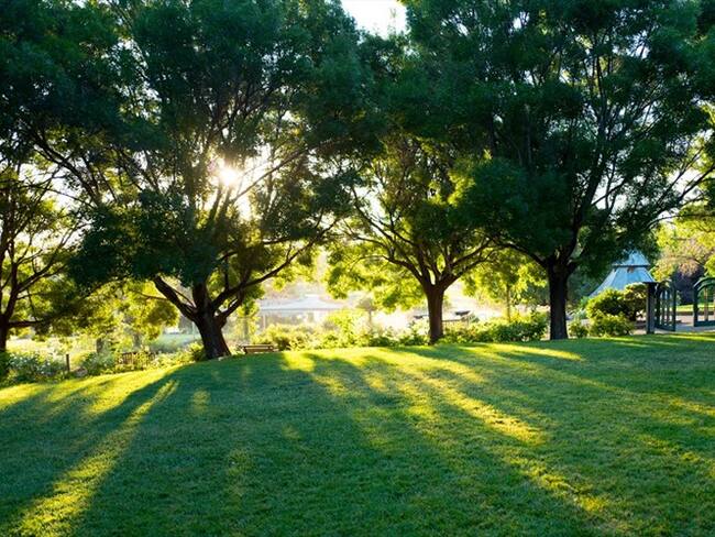 Habitantes de Chicó Navarra en protesta por instalación de antena en parque de Bogotá