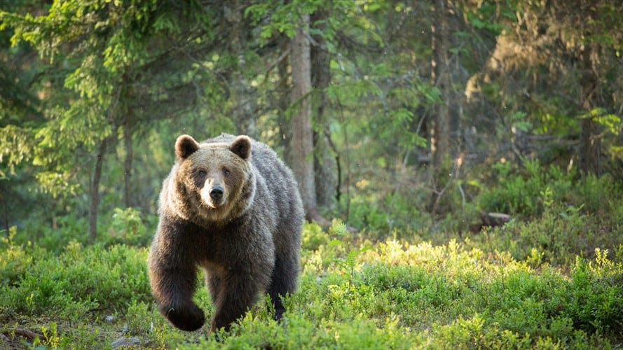 Imagen de referencia. Foto: Getty Images
