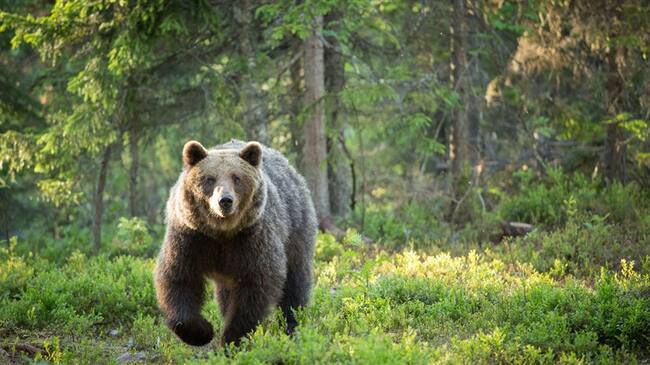 Imagen de referencia. Foto: Getty Images
