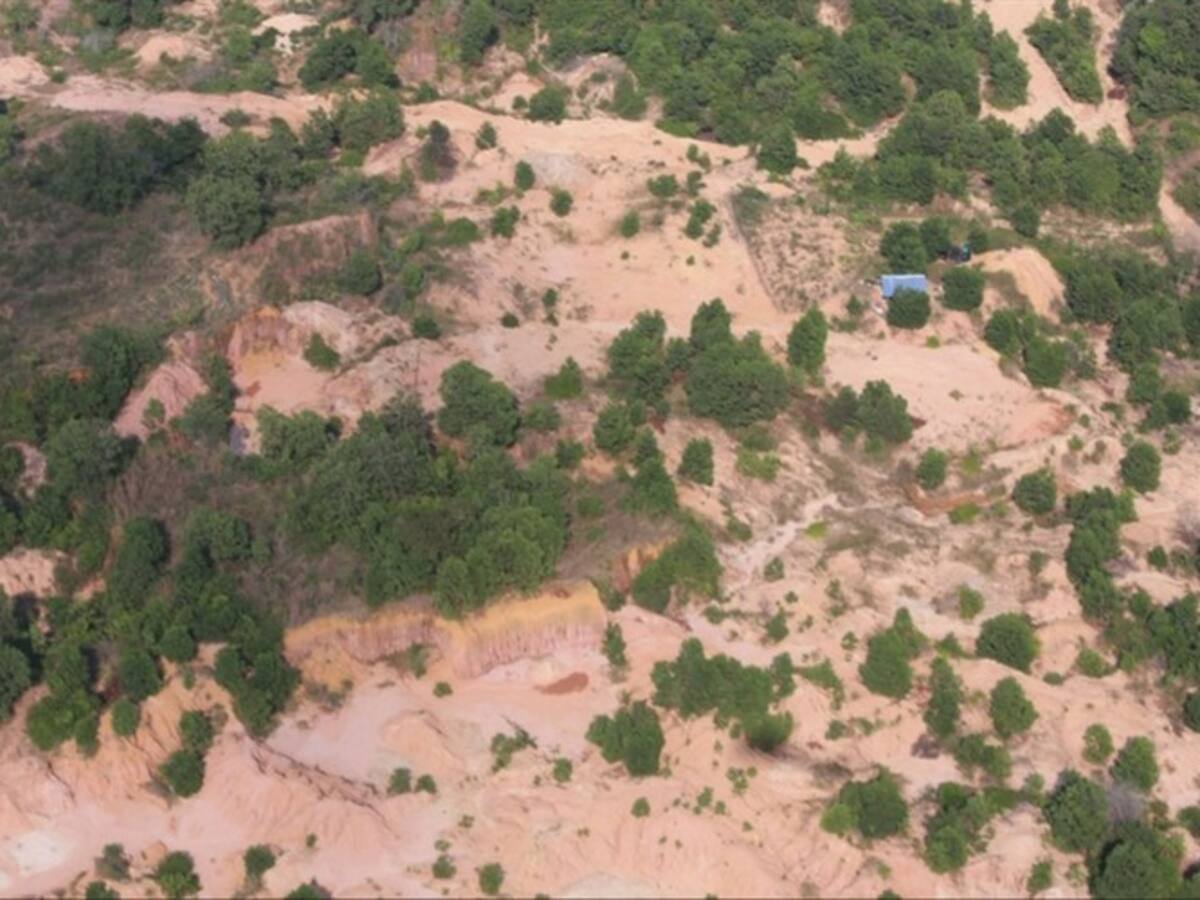 Judicializan red de deforestación en el Parque Natural Serranía de las Quinchas en Boyacá