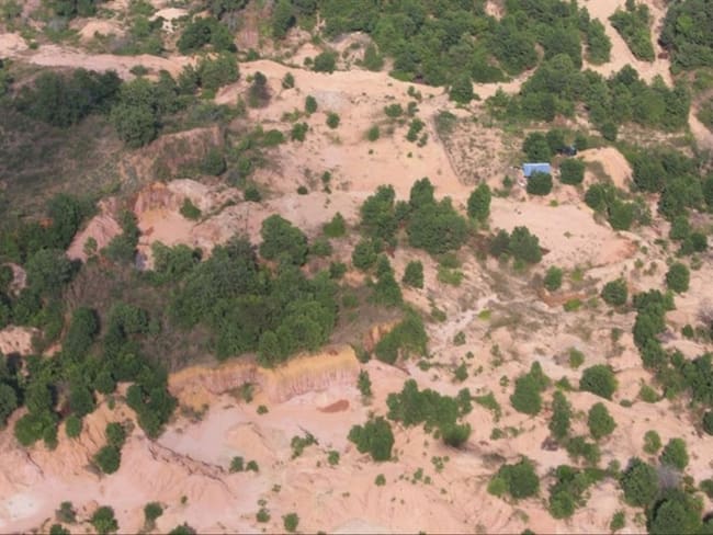 Los seis capturados son considerados como responsables de la tala de árboles en el Parque Natural, al menos, 353 hectáreas.. Foto: Fiscalía General de la Nación